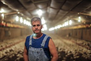 craig watts in chicken house