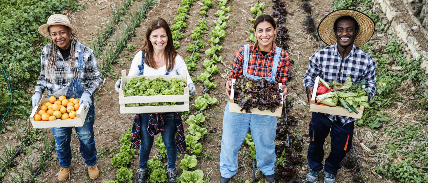 farmers in a field with vegetables