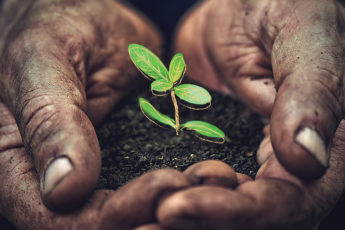 Family Farmers on the Frontlines of a Changing Climate