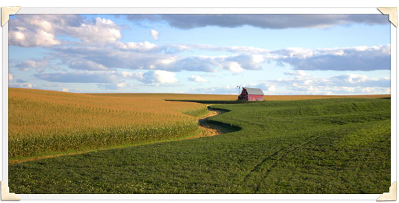 Barn Field Photo