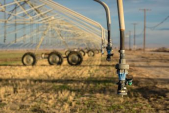 Resources for Farmers and Ranchers Facing Drought