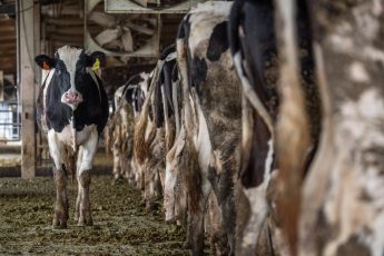 A new opportunity to reform the animal agriculture system