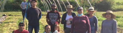 Members of the cooperative farm take a break while raising a high tunnel for Tiny Bridge Farm