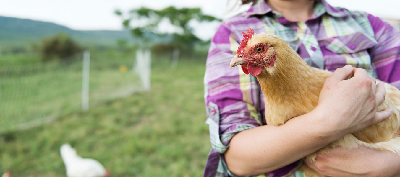 woman holding chicken