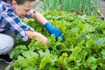 The Agriculture Resilience Act is a Farmer-Driven Roadmap for Net-Zero Greenhouse Gas Emissions in Agriculture