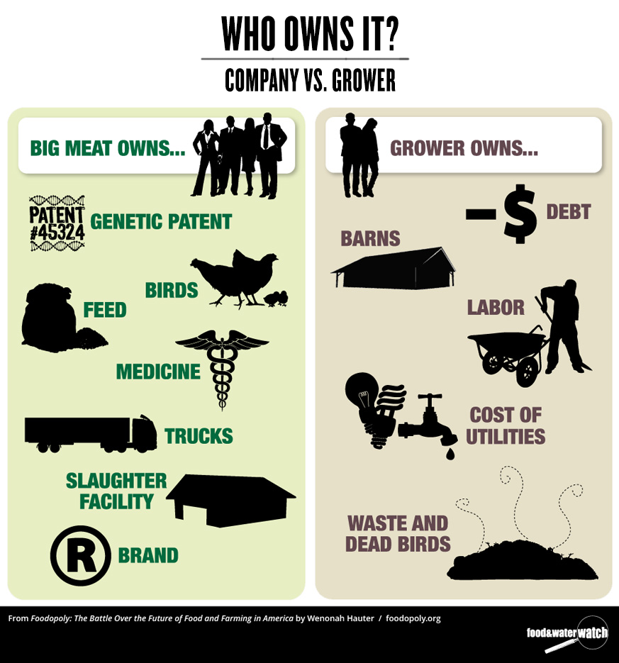 company vs owner - who owns it